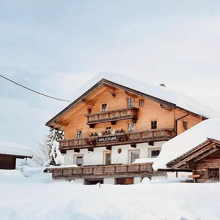 Waldruhe Appartements Sankt Jakob in Defereggen Εξωτερικό φωτογραφία